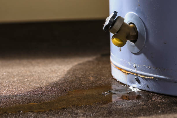 Best Water damage cleanup near me  in Dorneyville, PA