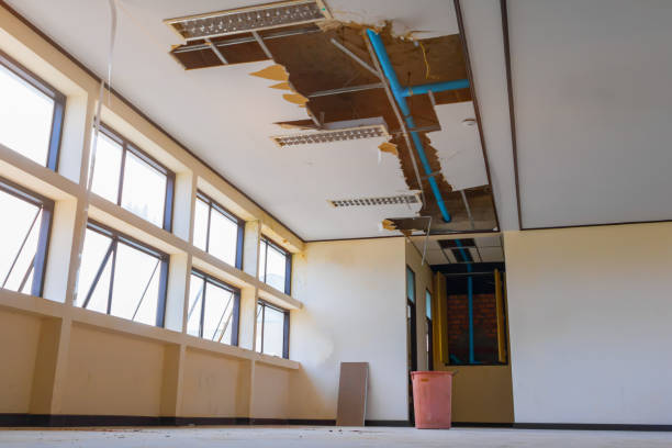 Best Sewage cleanup and water damage restoration  in Dorneyville, PA
