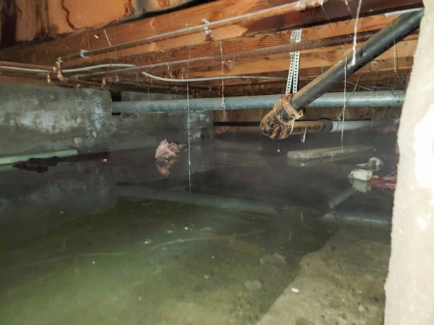 Best Water damage contractors near me  in Dorneyville, PA