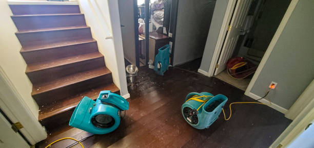 Best Fire Damage Restoration  in Dorneyville, PA