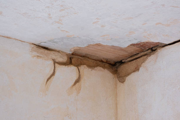 Best Flood restoration services  in Dorneyville, PA