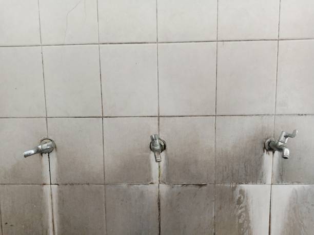 Best Water damage restoration insurance claims  in Dorneyville, PA