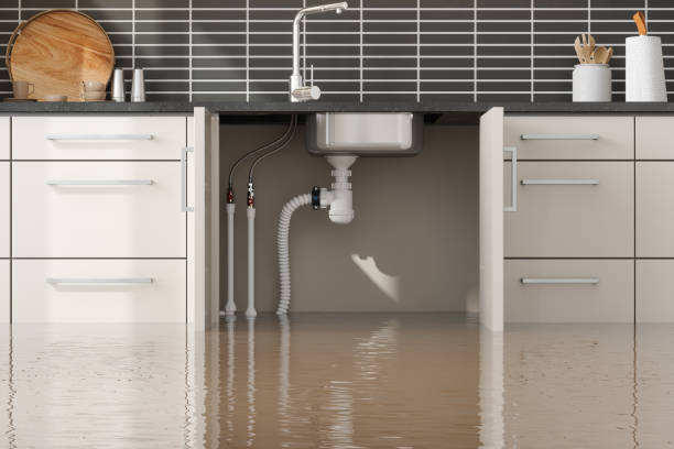 Best Emergency water damage restoration  in Dorneyville, PA