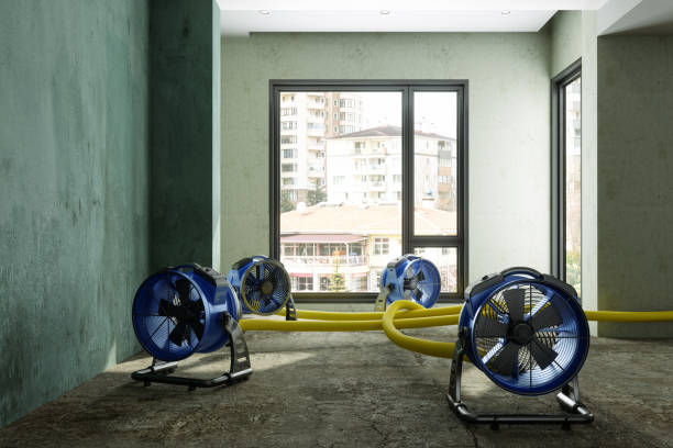 Best Basement water damage restoration  in Dorneyville, PA